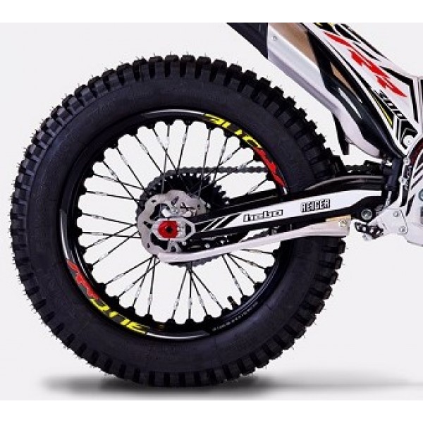 Adesivi Forcellone TRS RR 2018